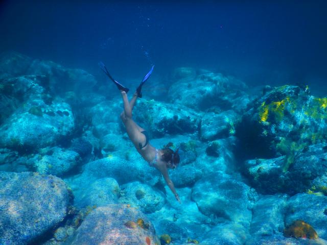 Snorkeling Diving Fins Snorkeling Grande-Anse-d'Arlet Martinique