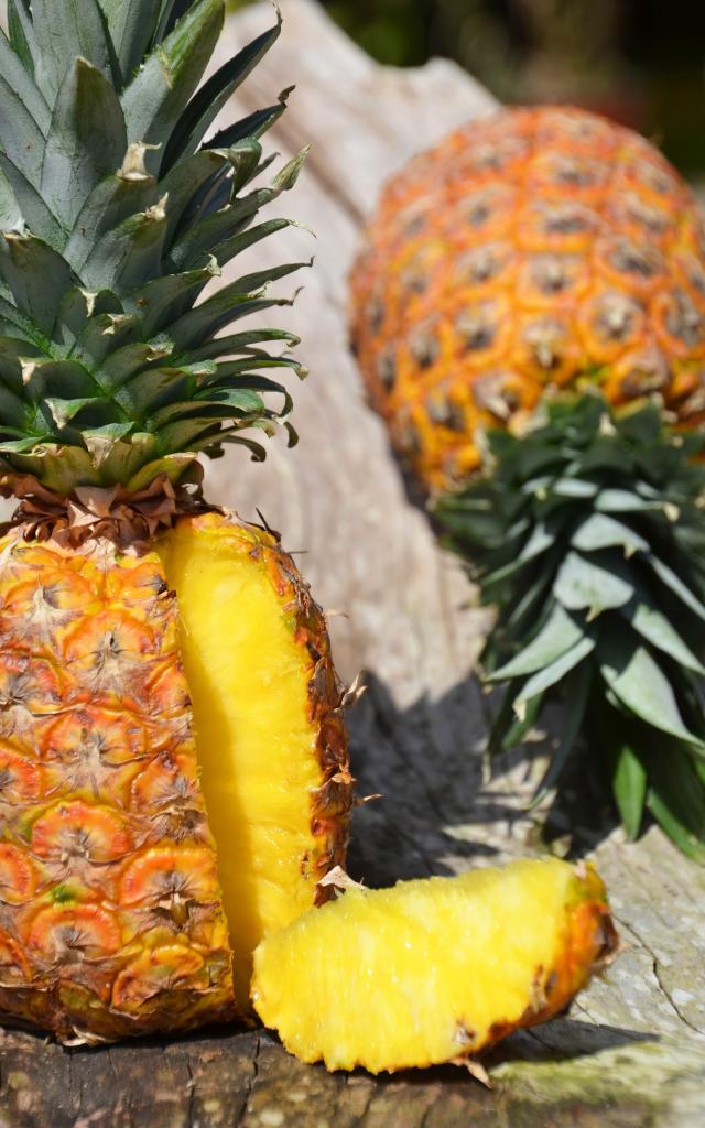 Ananas Fruit Antilles Martinique