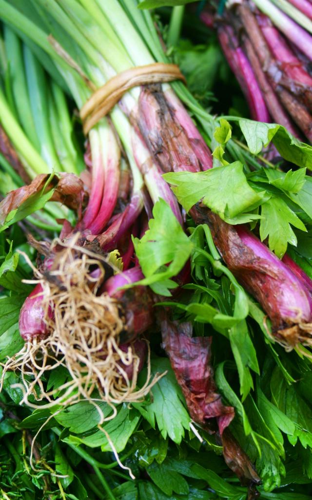 Bouquet garni Oignons pays Cive Persil Thym Épices Martinique