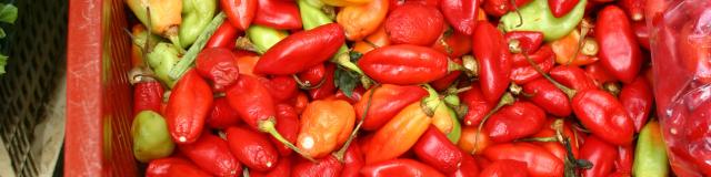 Market Vegetarian Spice Martinique