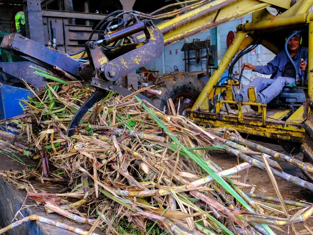 Distillerie La Favorite Lamentin Martinique