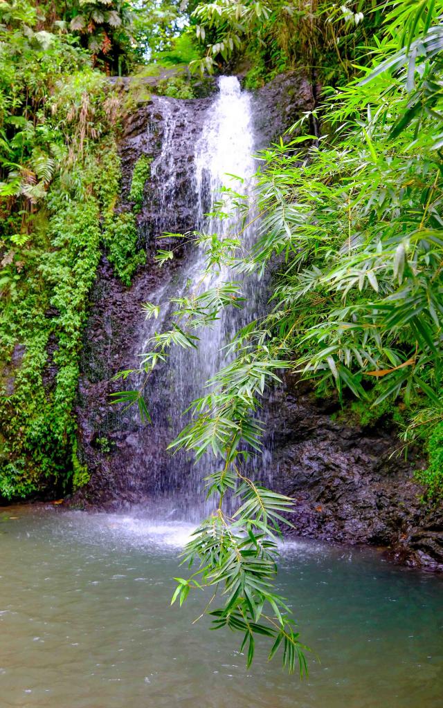 Cascade du Saut Gendarme Fond-Saint-Denis Martinique