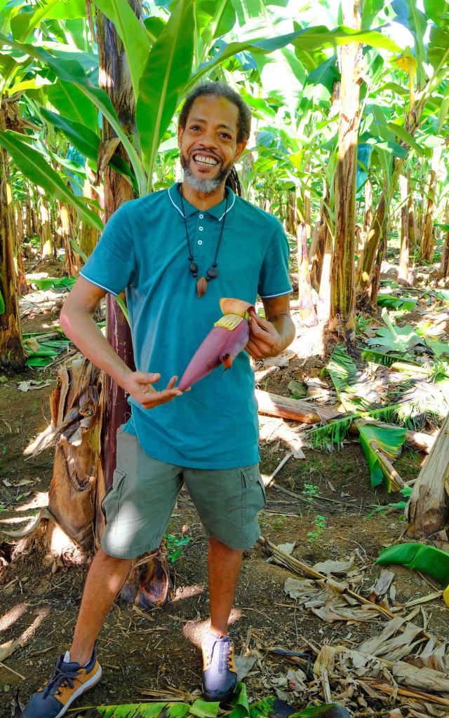Olivier Bananier O'tantik 4x4 Martinique