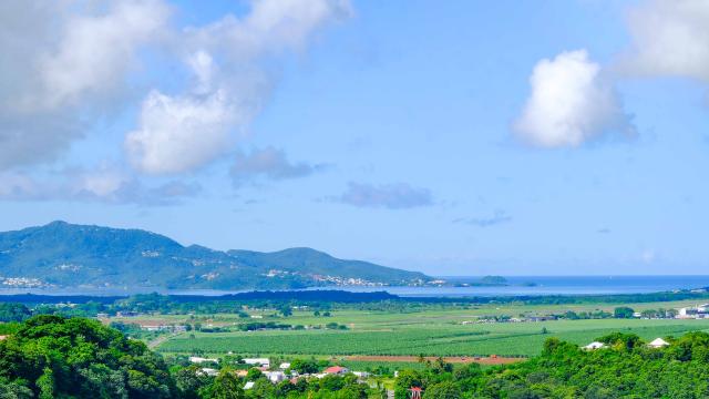 Point de vue Plaine Lamentin Martinique