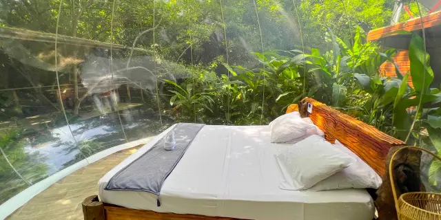 Bulledeau3 Domainedesbulles Vauclin Martinique