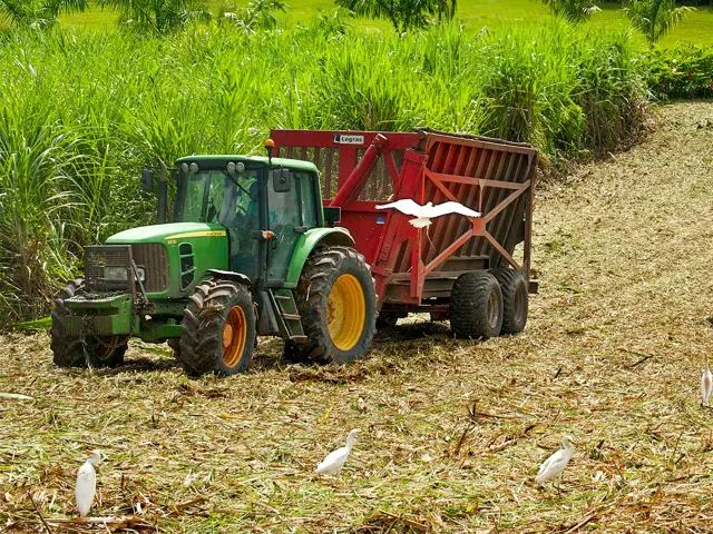 Habitationsaintetienne2 Rhumshse Grosmorne Martinique