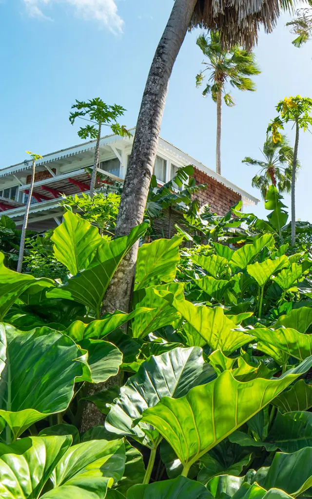 Hôtel Plein Soleil**** François Martinique