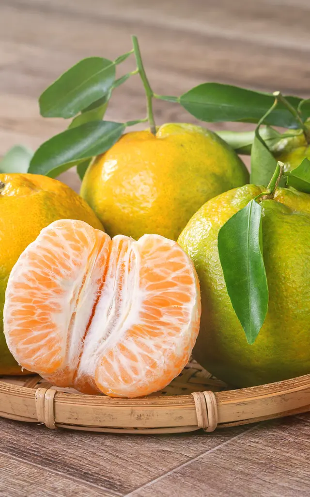 Mandarine Fruit Martinique
