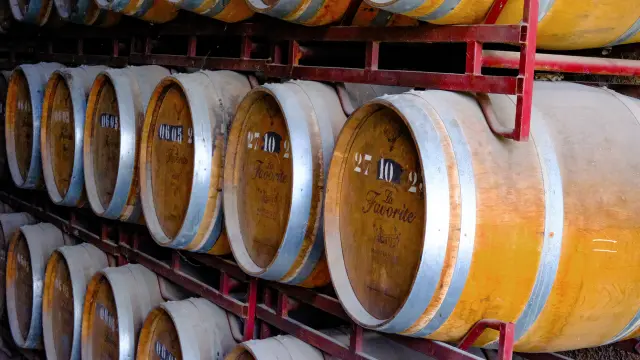 Chais Tonneau Distillerie La Favorite Lamentin Martinique