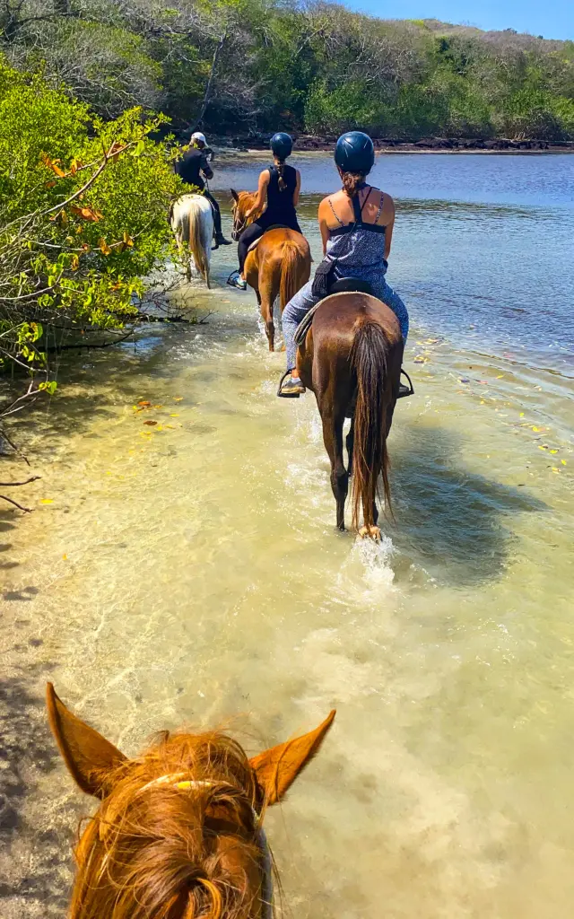 Balade à cheval Ranch Anse Macabou Vauclin Martinique