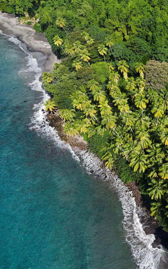 Plage de l'Anse Couleuvre Prêcheur Martinique