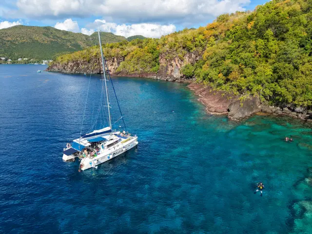 Catamaran Aliotis Crique abricot Les Anses d'Arlet Martinique