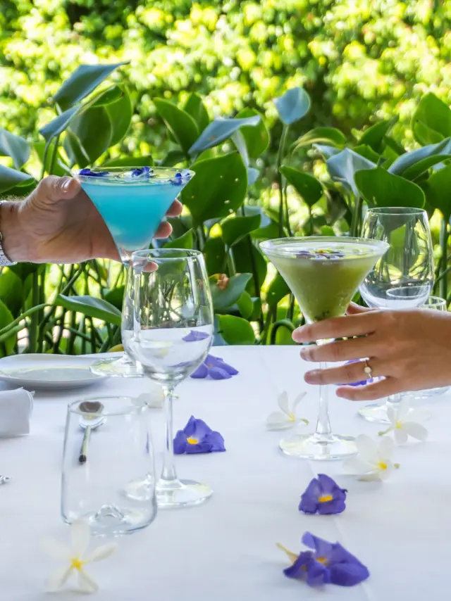 Hotelrestaurantpleinsoleil51 Francois Martinique