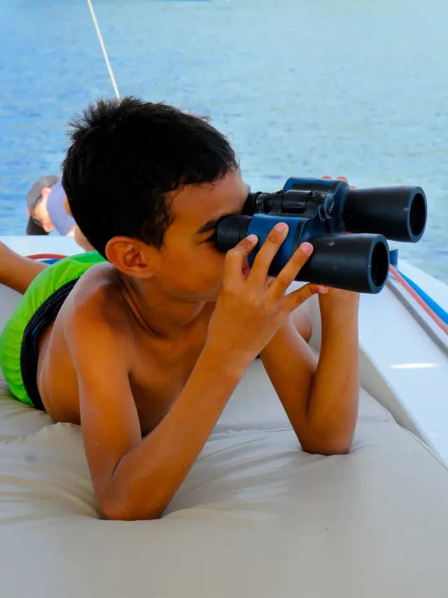 Observation de la faune et de la flore sur Catamaran Captain Toch Carbet Martinique