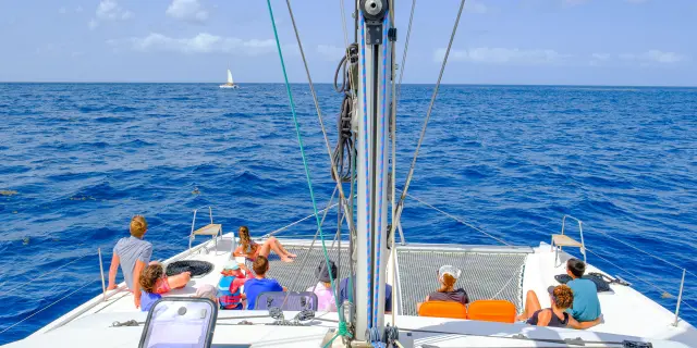 Navigation Catamaran Captain Toch Carbet Martinique
